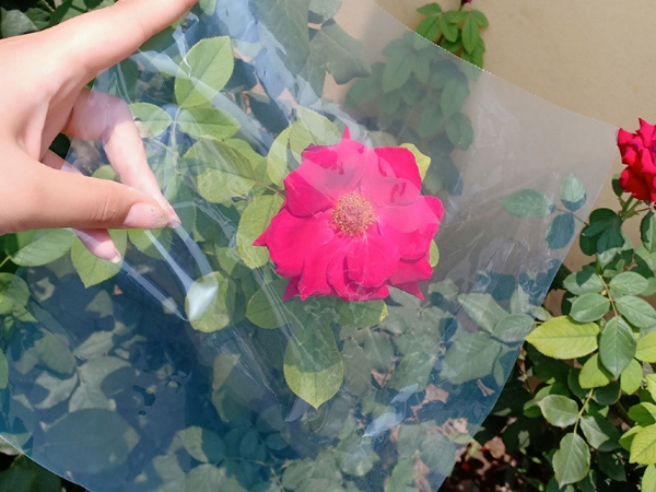 花卉专用膜