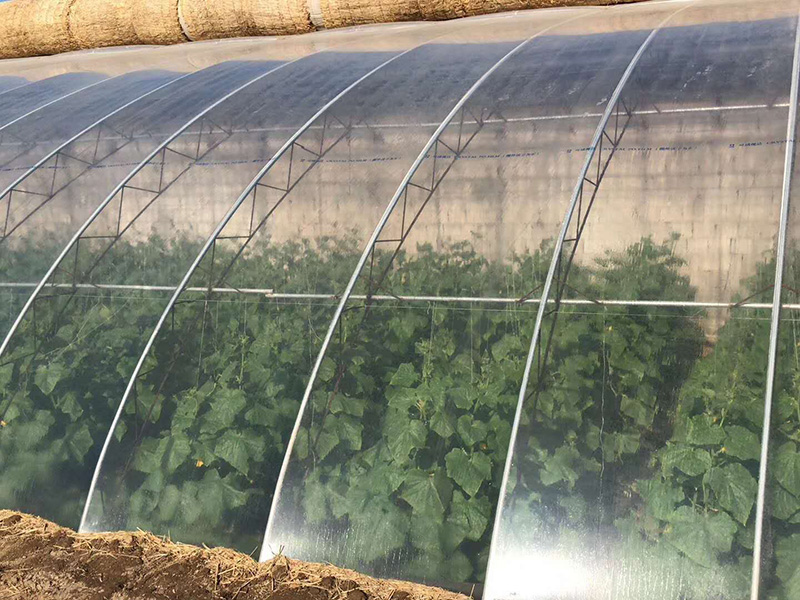 分光生态有机PO膜