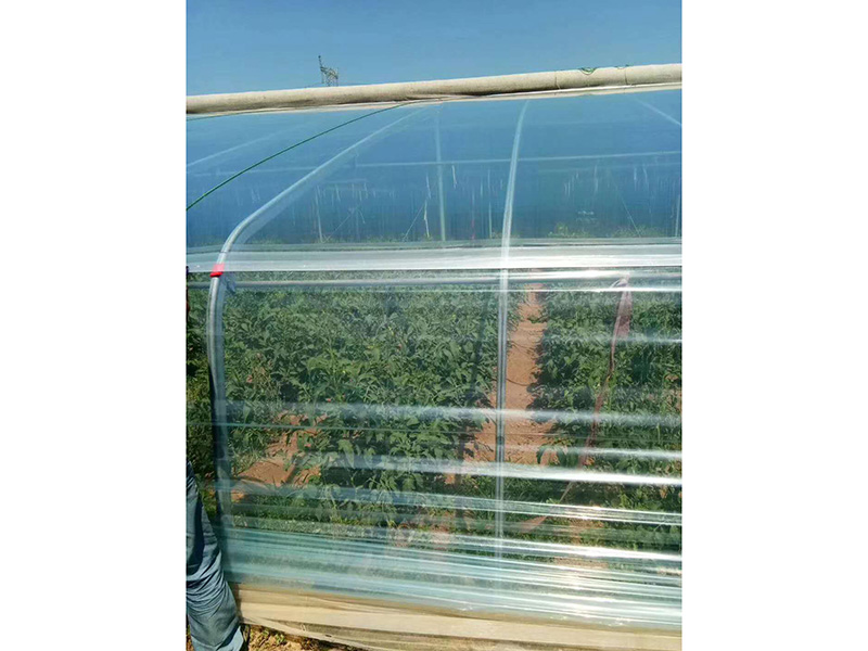 精品EVA消雾膜
